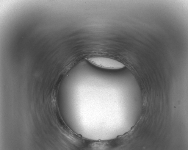 X0000062150179200512121317