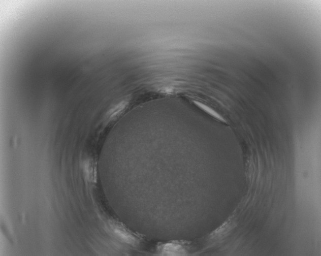 X0000062150180200512121317