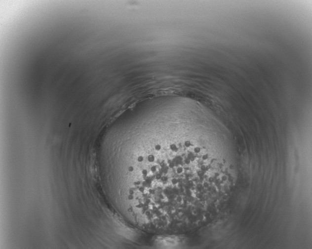 X0000062150181200512121317