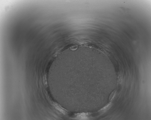 X0000062150182200512121317