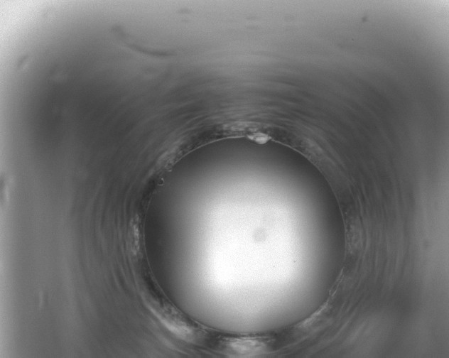 X0000062150183200512121317