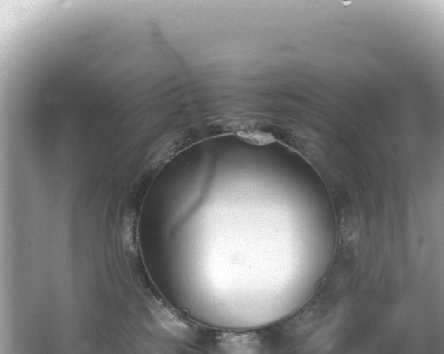 X0000062150185200512121317