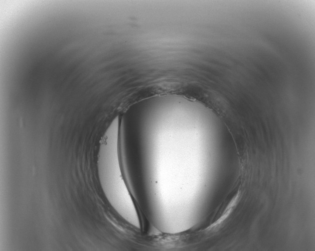 X0000062150186200512121317