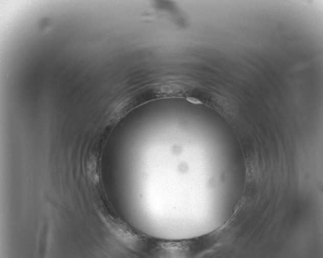 X0000062150187200512121317