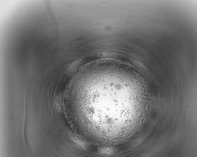 X0000062150189200512121317