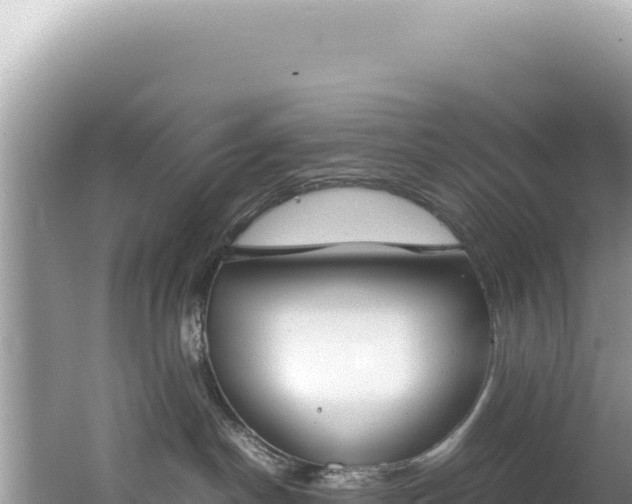 X0000062150190200512121317