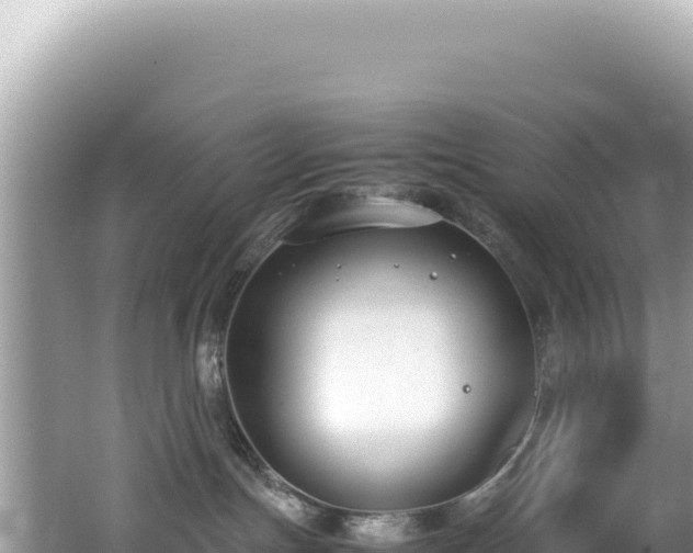 X0000062150191200512121317