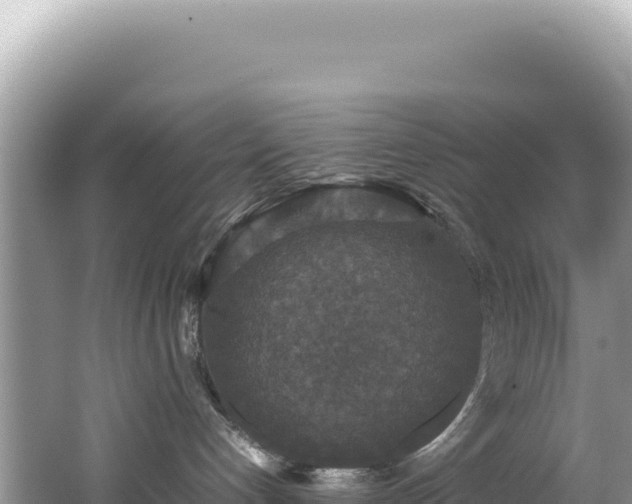 X0000062150192200512121317