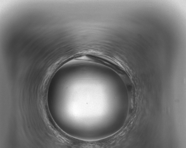 X0000062150193200512121317