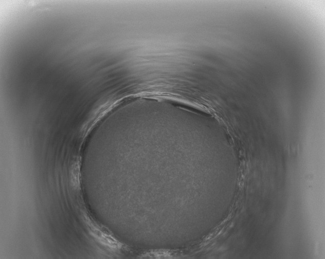 X0000062150194200512121317