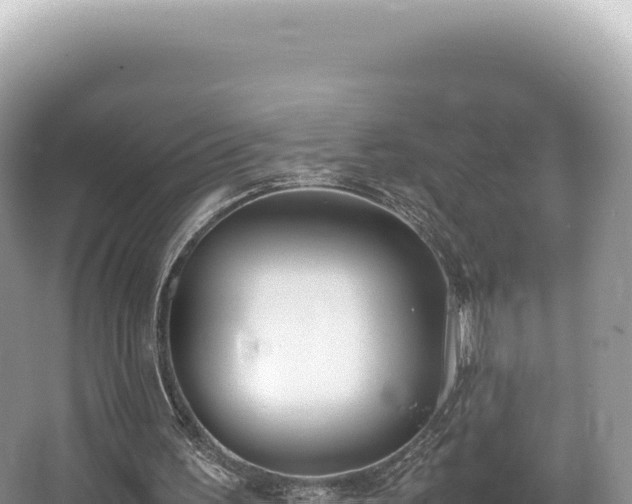 X0000062150195200512121317