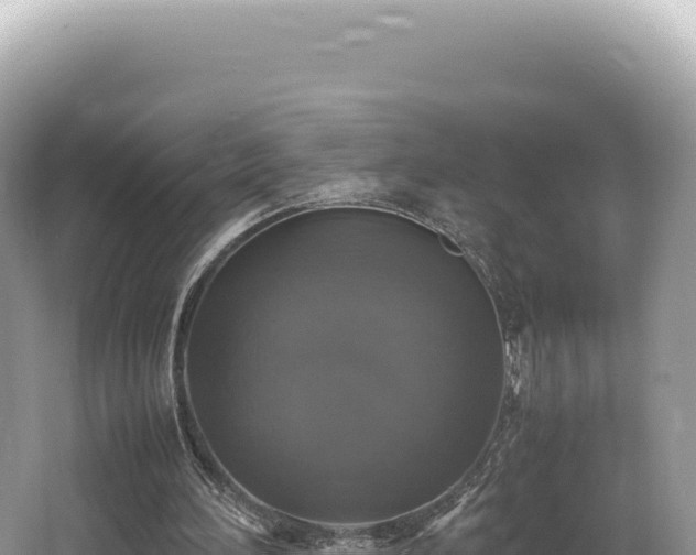 X0000062150196200512121316