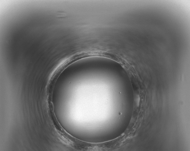 X0000062150197200512121316