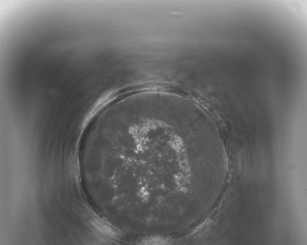 X0000062150198200512121316