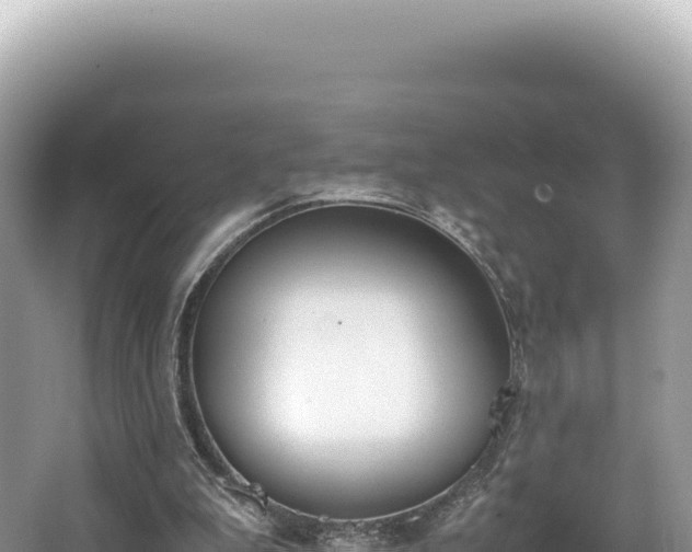 X0000062150199200512121316