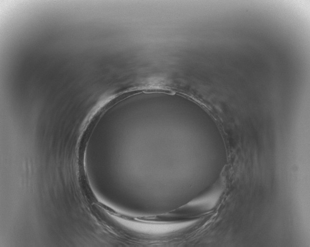 X0000062150200200512121316