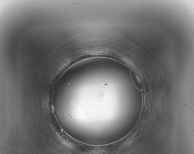 X0000062150201200512121316