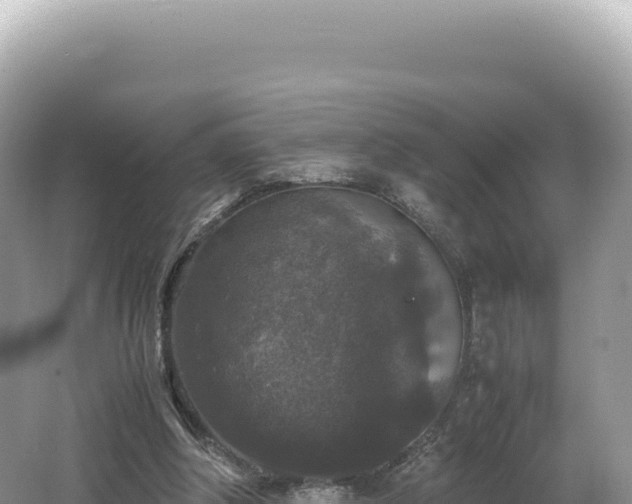 X0000062150202200512121316