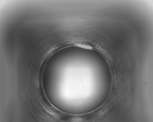 X0000062150203200512121316