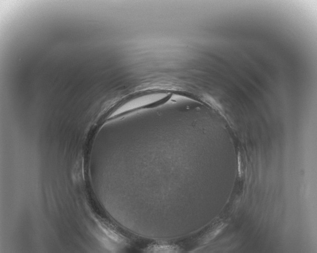 X0000062150205200512121316