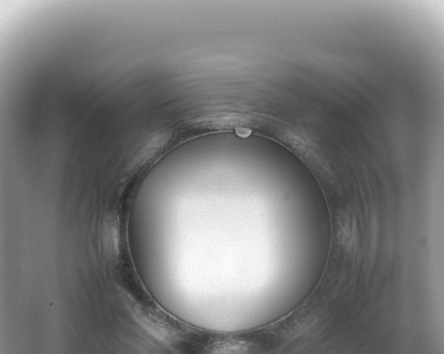 X0000062150206200512121316