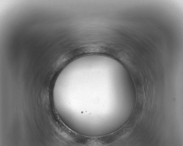 X0000062150207200512121316