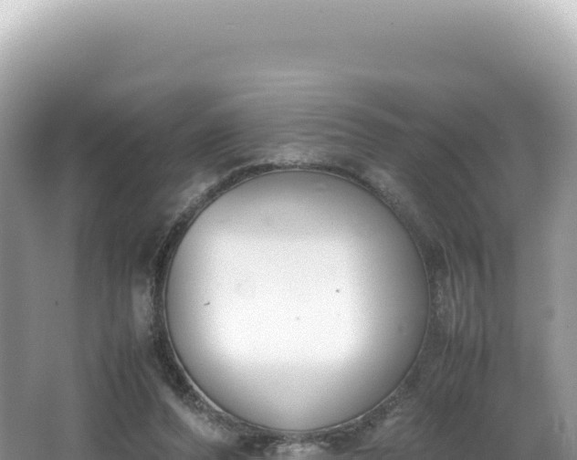 X0000062150208200512121316