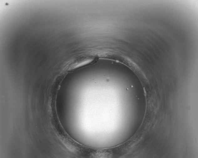 X0000062150209200512121316