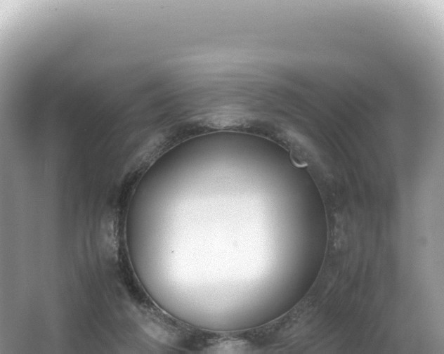 X0000062150210200512121316