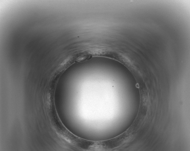 X0000062150211200512121316