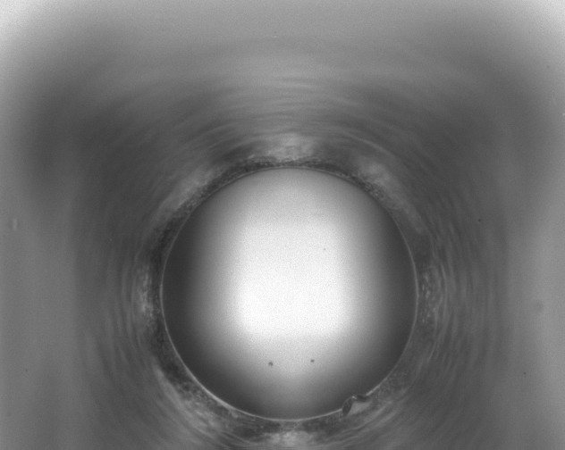 X0000062150212200512121316