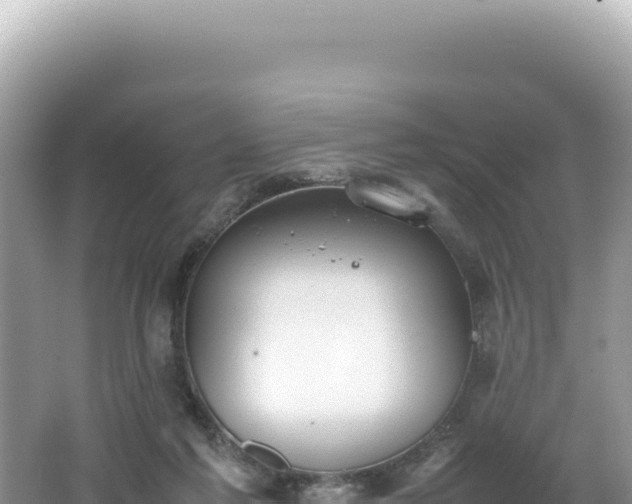 X0000062150213200512121316