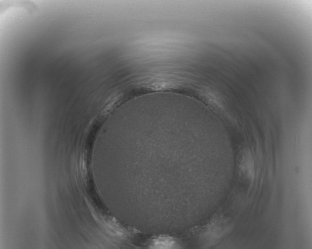 X0000062150214200512121316