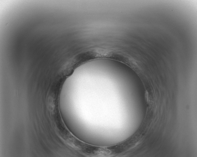 X0000062150215200512121316