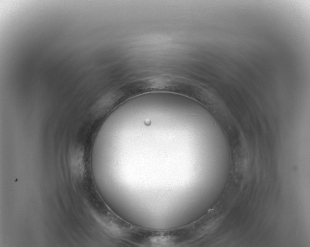 X0000062150216200512121316