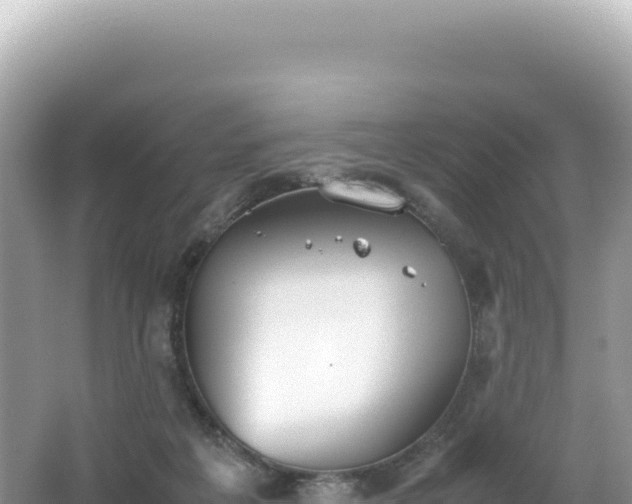 X0000062150217200512121316