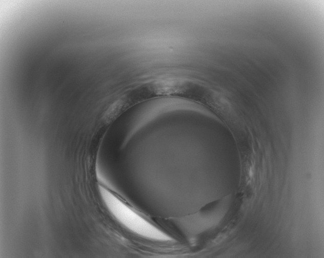 X0000062150219200512121316