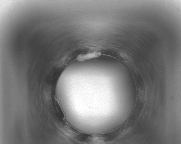 X0000062150221200512121316