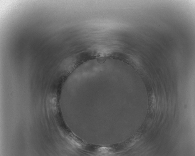 X0000062150222200512121316