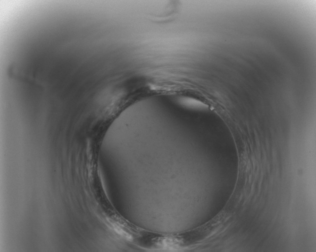 X0000062150223200512121316