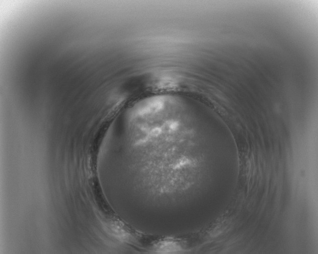 X0000062150224200512121316