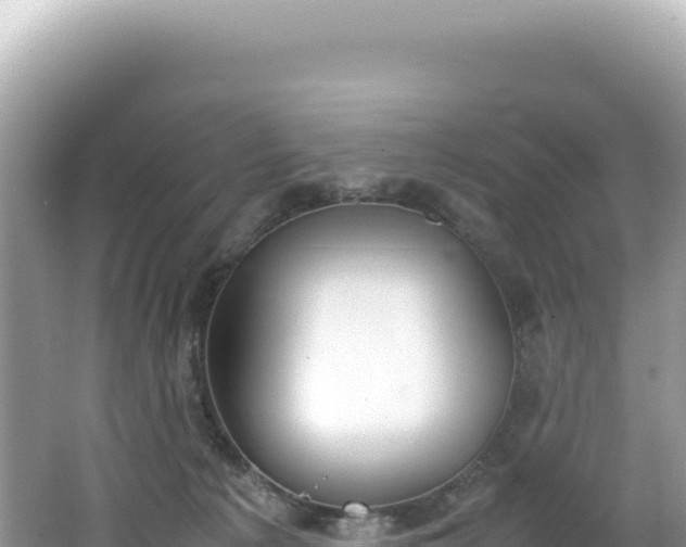 X0000062150225200512121316