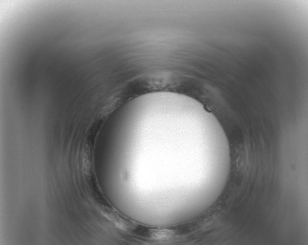 X0000062150226200512121316