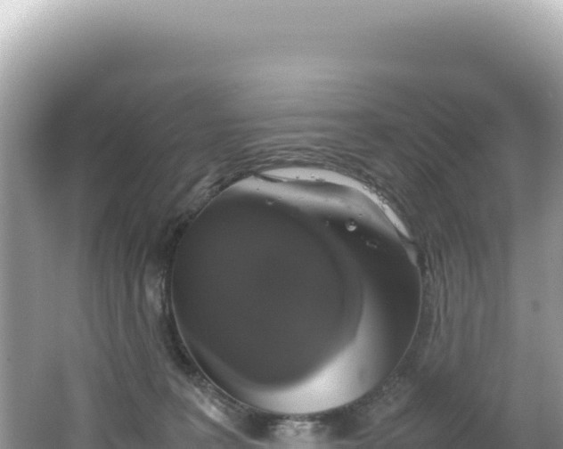 X0000062150227200512121316