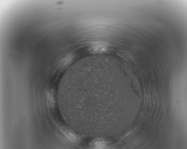 X0000062150228200512121316