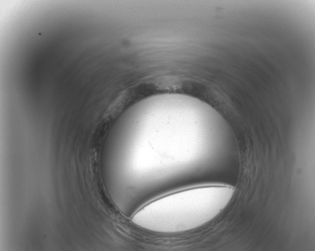 X0000062150229200512121316