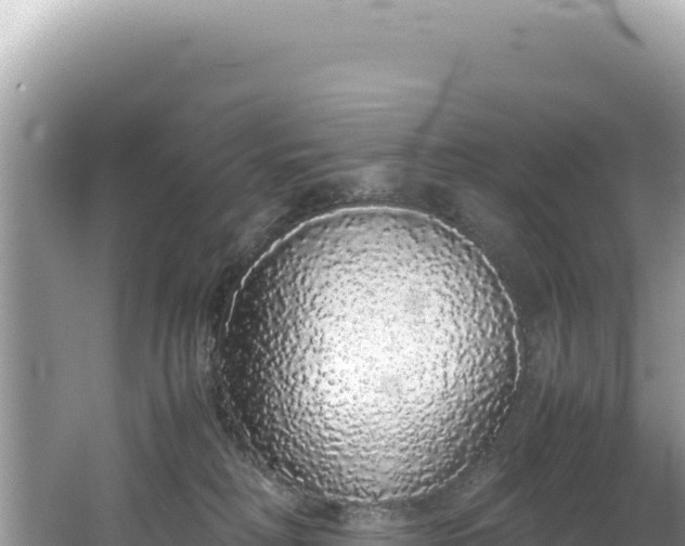 X0000062150230200512121316