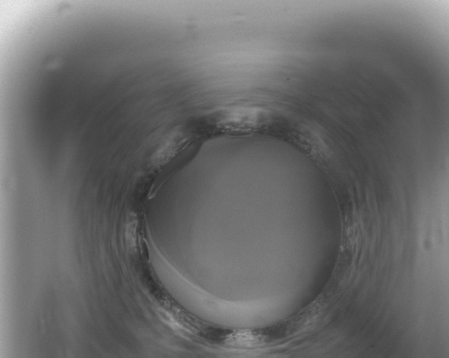 X0000062150231200512121316