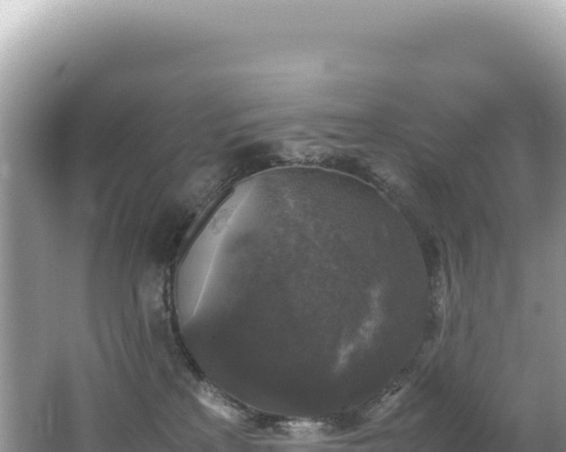 X0000062150233200512121316