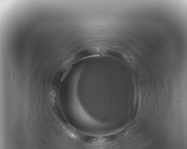 X0000062150235200512121316